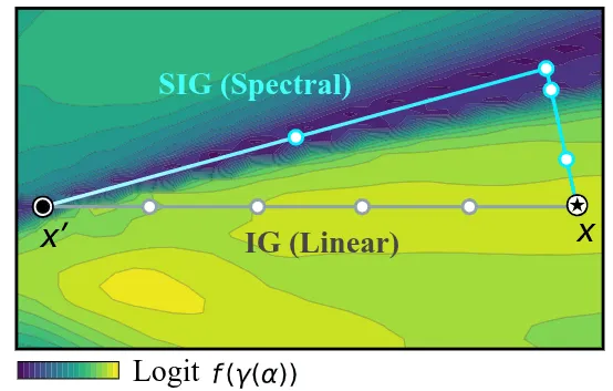Figure from Spectral Integrated Gradients for Coarse-to-Fine Feature Attribution